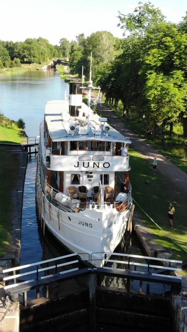MS Juno