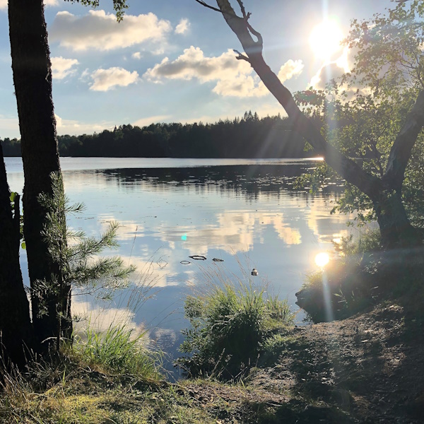 Sonnenuntergang am Tiveden NP